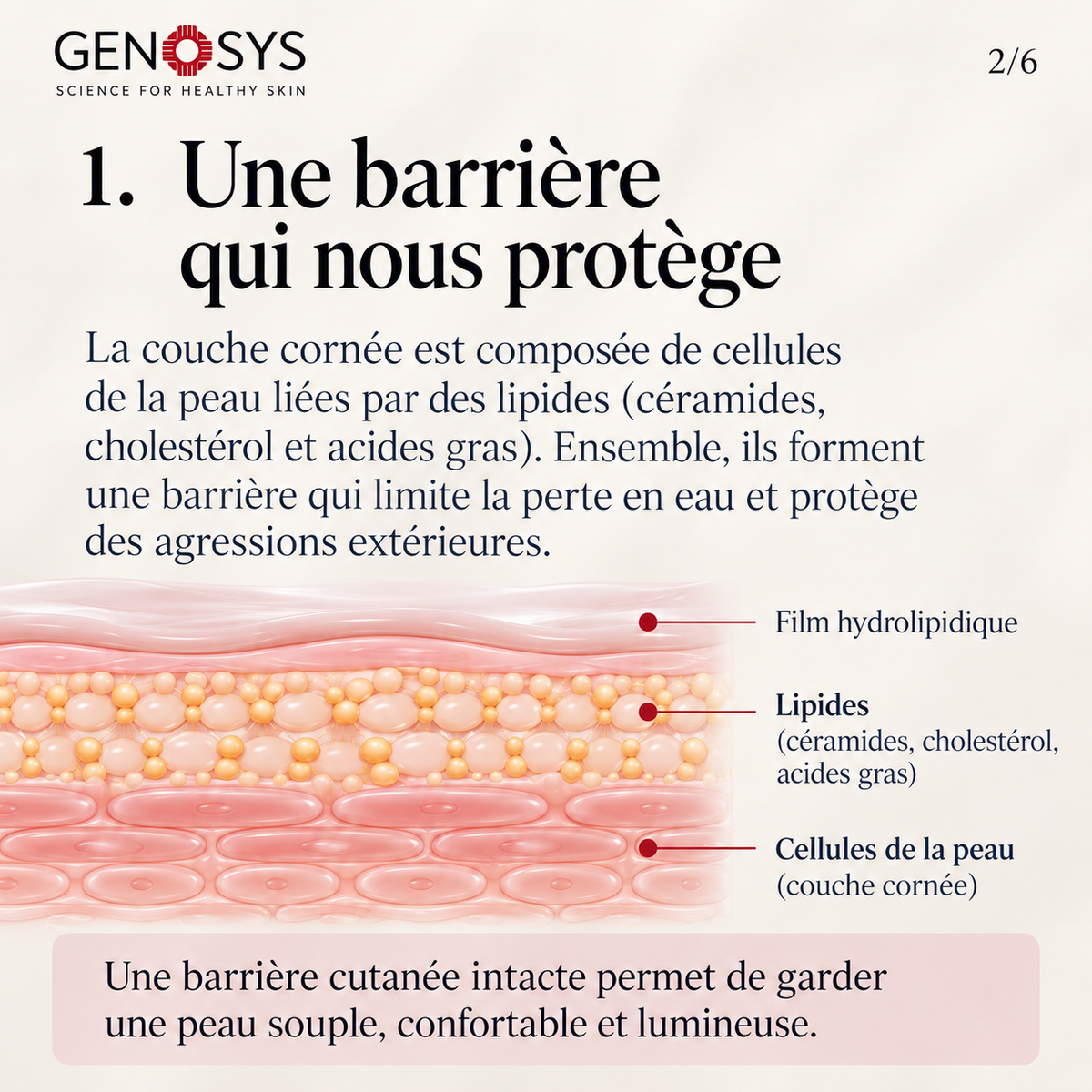 Offre grand format - Cerabarrier Biome Gel Cleanser (NEW)